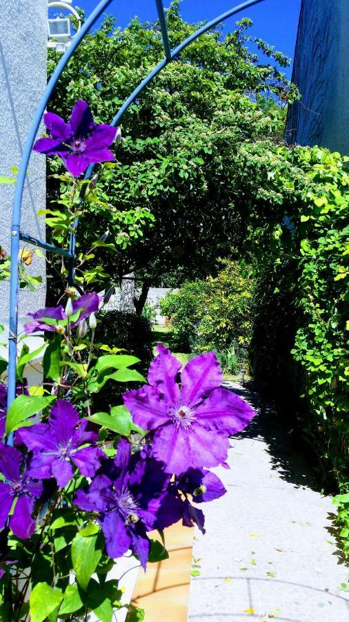 Chambre Avec Jardin Pierre Curie Bry-sur-Marne Exterior foto